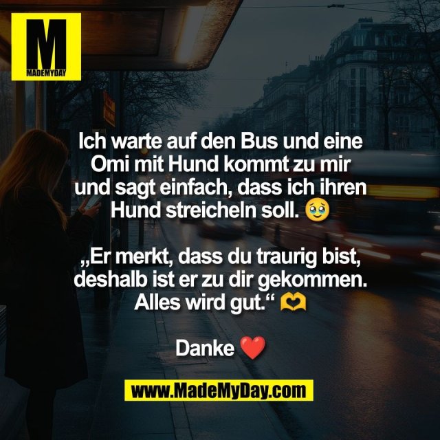 Ich warte auf den Bus und eine<br />
Omi mit Hund kommt zu mir<br />
und sagt einfach, dass ich ihren<br />
Hund streicheln soll. 🥹<br />
<br />
„Er merkt, dass du traurig bist,<br />
deshalb ist er zu dir gekommen.<br />
Alles wird gut.“ 🫶<br />
<br />
Danke ❤️