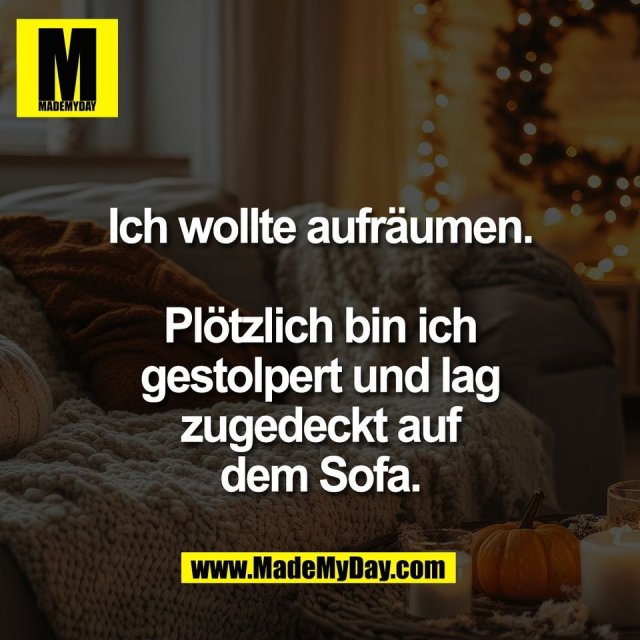 Ich wollte aufräumen.<br />
<br />
Plötzlich bin ich<br />
gestolpert und lag<br />
zugedeckt auf<br />
dem Sofa.