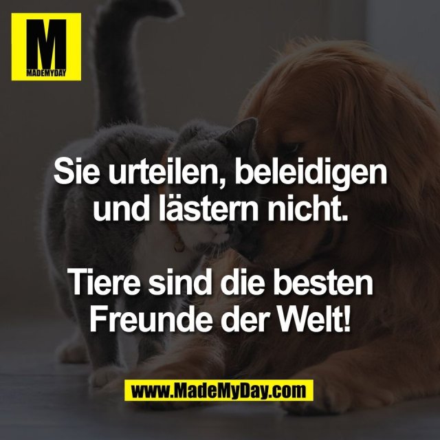 Sie urteilen, beleidigen<br />
und lästern nicht.<br />
<br />
Tiere sind die besten<br />
Freunde der Welt!