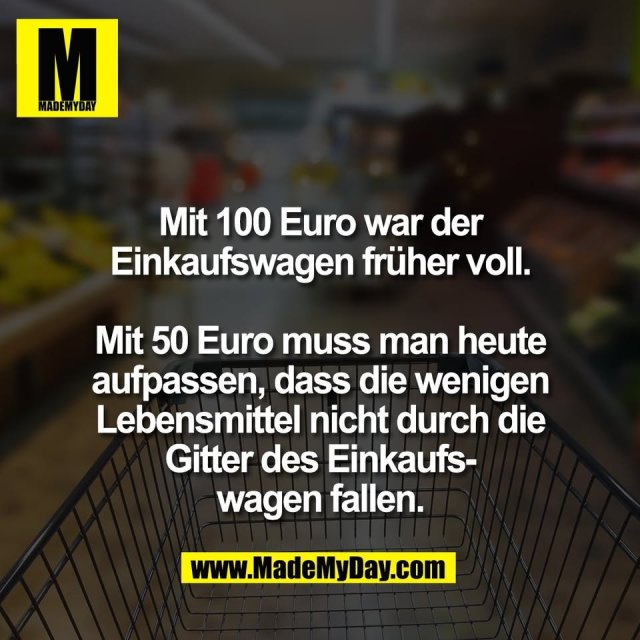 Mit 100 Euro war der<br />
Einkaufswagen früher voll.<br />
<br />
Mit 50 Euro muss man heute<br />
aufpassen, dass die wenigen<br />
Lebensmittel nicht durch die<br />
Gitter des Einkaufs-<br />
wagen fallen.