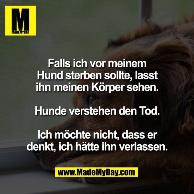 Falls ich vor meinem<br />
Hund sterben sollte, lasst<br />
ihn meinen Körper sehen.<br />
<br />
Hunde verstehen den Tod.<br />
<br />
Ich möchte nicht, dass er<br />
denkt, ich hätte ihn verlassen.