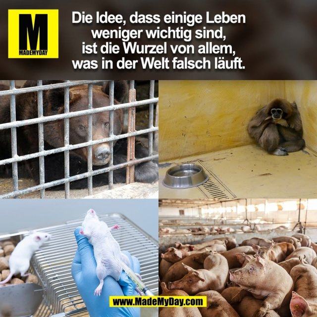 Die Idee, dass einige Leben<br />
weniger wichtig sind,<br />
ist die Wurzel von allem,<br />
was in der Welt falsch läuft.<br />
(BILD)