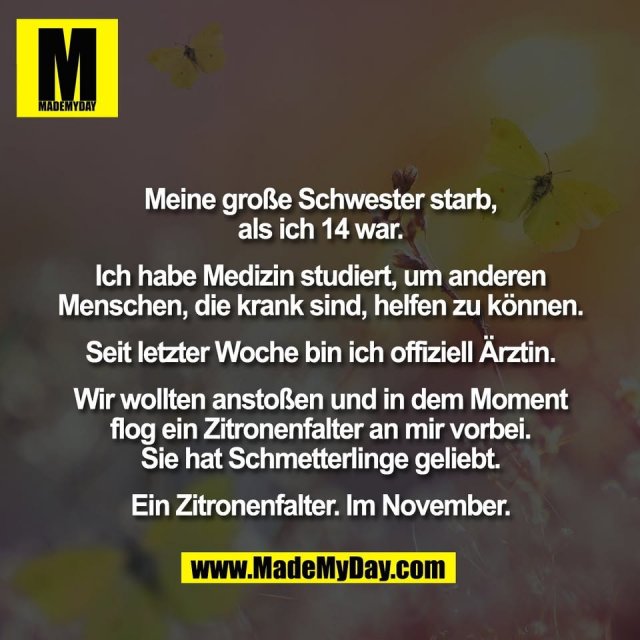 Meine große Schwester starb,<br />
als ich 14 war.<br />
<br />
Ich habe Medizin studiert, um anderen<br />
Menschen, die krank sind, helfen zu können.<br />
<br />
Seit letzter Woche bin ich offiziell Ärztin.<br />
<br />
Wir wollten anstoßen und in dem Moment<br />
flog ein Zitronenfalter an mir vorbei.<br />
Sie hat Schmetterlinge geliebt.<br />
<br />
Ein Zitronenfalter. Im November.