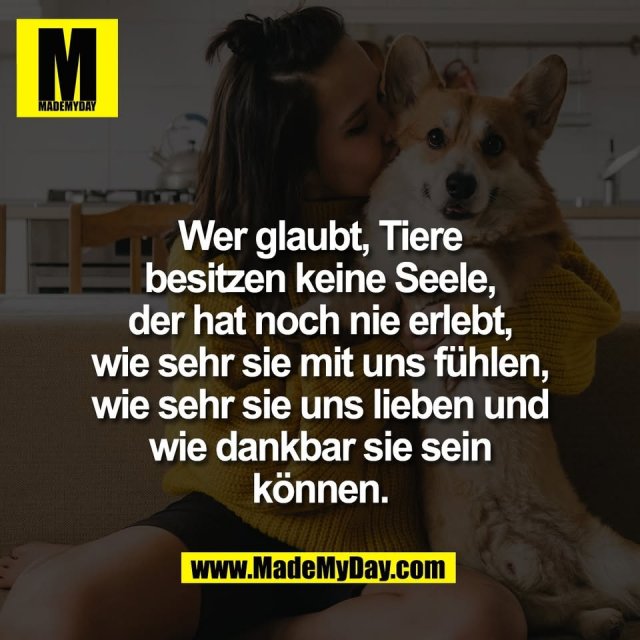 Wer glaubt, Tiere<br />
besitzen keine Seele,<br />
der hat noch nie erlebt,<br />
wie sehr sie mit uns fühlen,<br />
wie sehr sie uns lieben und<br />
wie dankbar sie sein<br />
können.