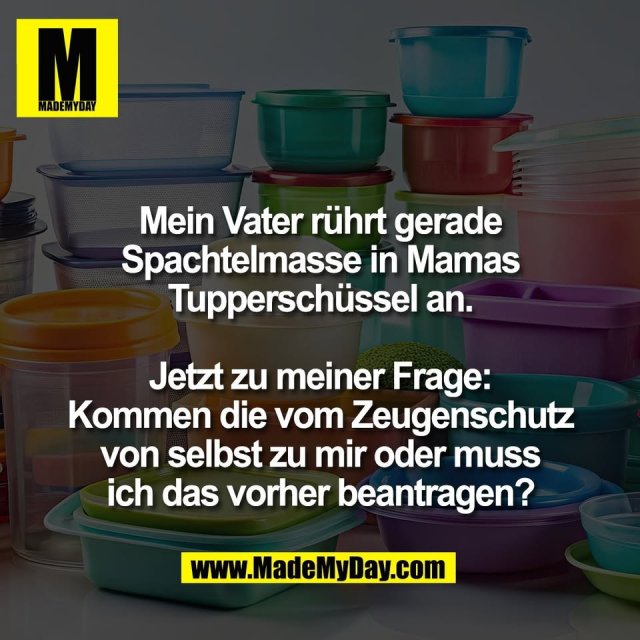 Mein Vater rührt gerade<br />
Spachtelmasse in Mamas<br />
Tupperschüssel an.<br />
<br />
Jetzt zu meiner Frage:<br />
Kommen die vom Zeugenschutz<br />
von selbst zu mir oder muss<br />
ich das vorher beantragen?