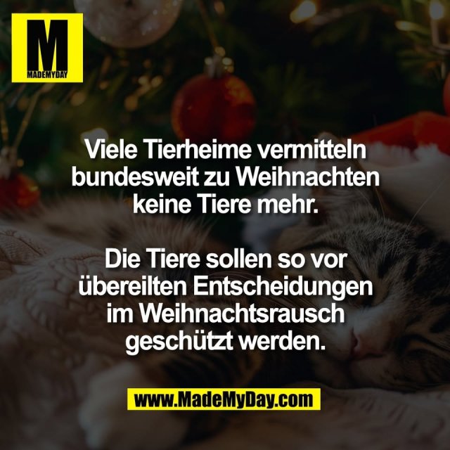 Viele Tierheime vermitteln<br />
bundesweit zu Weihnachten<br />
keine Tiere mehr.<br />
<br />
Die Tiere sollen so vor<br />
übereilten Entscheidungen<br />
im Weihnachtsrausch<br />
geschützt werden.