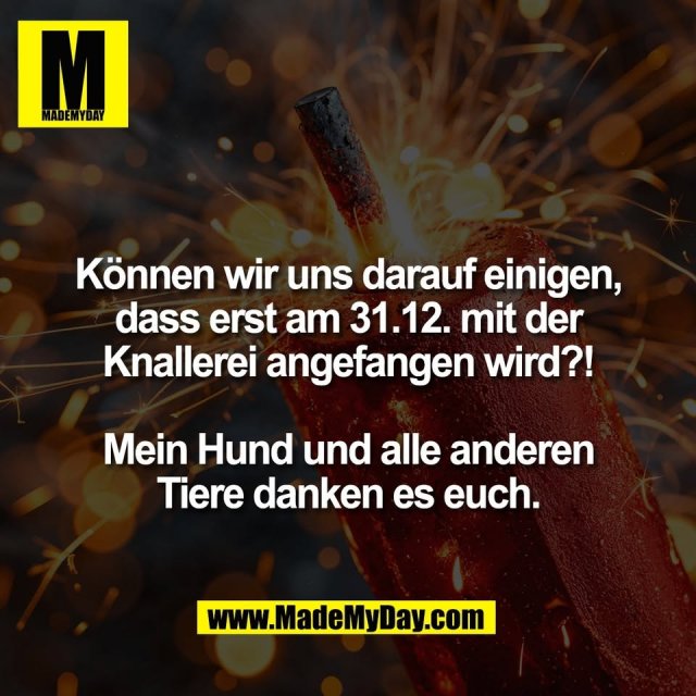 Können wir uns darauf einigen,<br />
dass erst am 31.12. mit der<br />
Knallerei angefangen wird?!<br />
<br />
Mein Hund und alle anderen<br />
Tiere danken es euch.