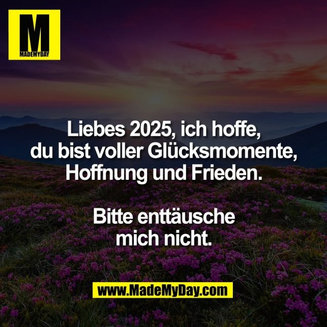 Liebes 2025, ich hoffe,<br />
du bist voller Glücksmomente,<br />
Hoffnung und Frieden.<br />
<br />
Bitte enttäusche<br />
mich nicht.