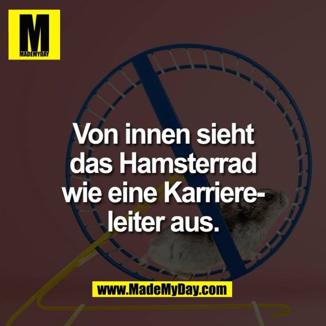 Von innen sieht<br />
das Hamsterrad<br />
wie eine Karriere-<br />
leiter aus.