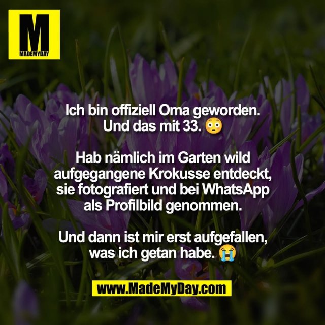 Ich bin offiziell Oma geworden.<br />
Und das mit 33. 😳<br />
<br />
Hab nämlich im Garten wild<br />
aufgegangene Krokusse entdeckt,<br />
sie fotografiert und bei WhatsApp<br />
als Profilbild genommen.<br />
<br />
Und dann ist mir erst aufgefallen,<br />
was ich getan habe. 😭