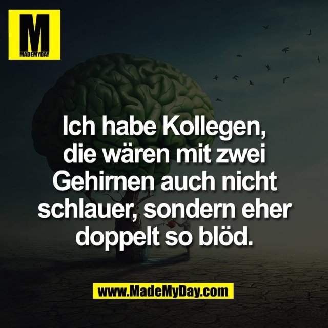 Ich habe Kollegen,<br />
die wären mit zwei<br />
Gehirnen auch nicht<br />
schlauer, sondern eher<br />
doppelt so blöd.