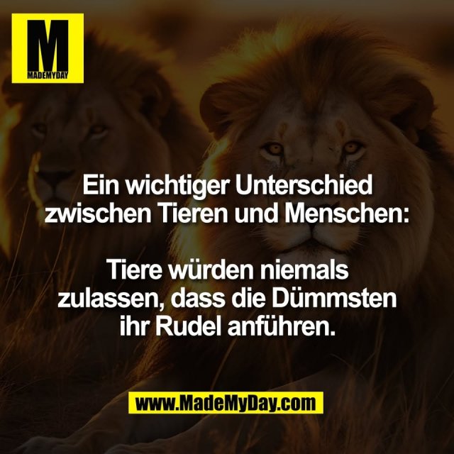 Ein wichtiger Unterschied<br />
zwischen Tieren und Menschen:<br />
<br />
Tiere würden niemals<br />
zulassen, dass die Dümmsten<br />
ihr Rudel anführen.