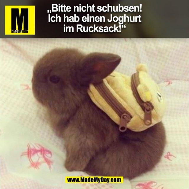 „Bitte nicht schubsen!<br />
Ich hab einen Joghurt<br />
im Rucksack!“<br />
(BILD)