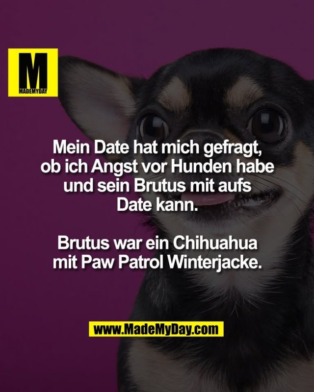 Mein Date hat mich gefragt,<br />
ob ich Angst vor Hunden habe<br />
und sein Brutus mit aufs<br />
Date kann.<br />
<br />
Brutus war ein Chihuahua<br />
mit Paw Patrol Winterjacke.