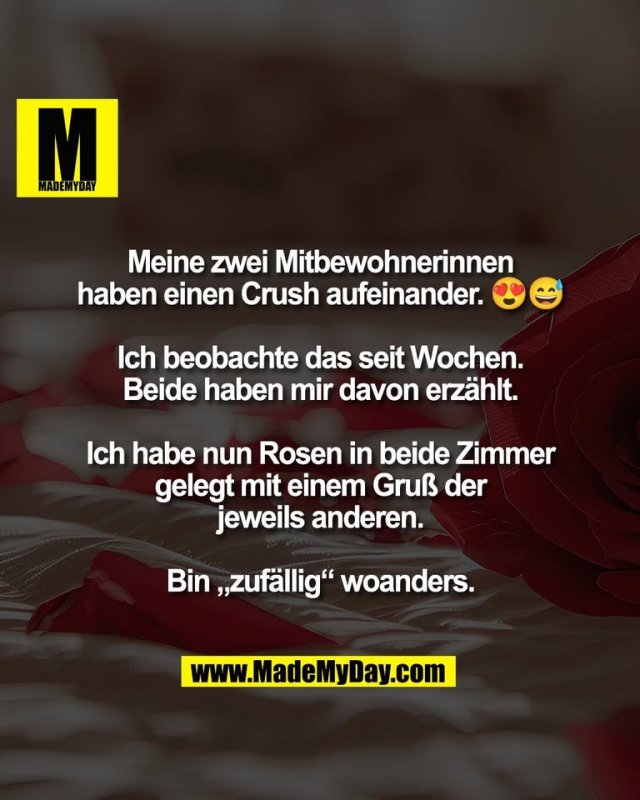 Meine zwei Mitbewohnerinnen<br />
haben einen Crush aufeinander. 😍😅<br />
<br />
Ich beobachte das seit Wochen.<br />
Beide haben mir davon erzählt.<br />
<br />
Ich habe nun Rosen in beide Zimmer<br />
gelegt mit einem Gruß der<br />
jeweils anderen.<br />
<br />
Bin „zufällig“ woanders.