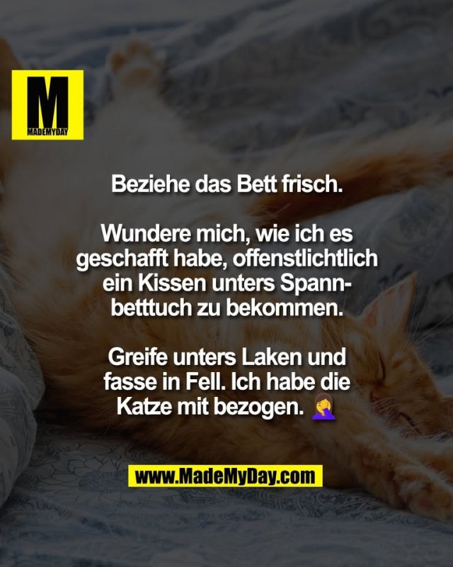 Beziehe das Bett frisch.<br />
<br />
Wundere mich, wie ich es<br />
geschafft habe, offenstlichtlich<br />
ein Kissen unters Spann-<br />
betttuch zu bekommen.<br />
<br />
Greife unters Laken und<br />
fasse in Fell. Ich habe die<br />
Katze mit bezogen. 🤦‍♀️