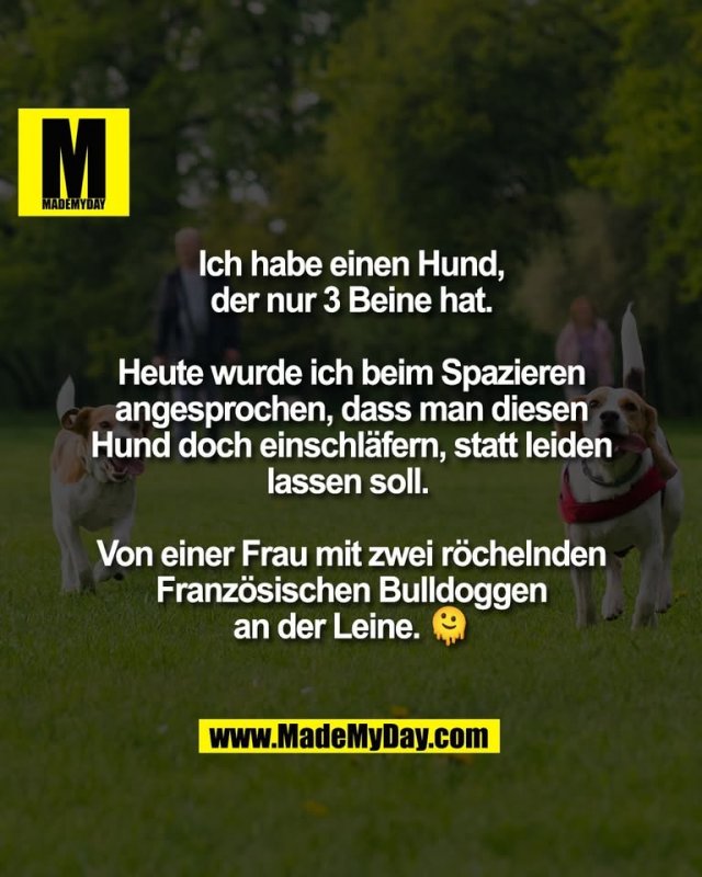 Ich habe einen Hund,<br />
der nur 3 Beine hat.<br />
<br />
Heute wurde ich beim Spazieren<br />
angesprochen, dass man diesen<br />
Hund doch einschläfern, statt leiden<br />
lassen soll. <br />
<br />
Von einer Frau mit zwei röchelnden<br />
Französischen Bulldoggen<br />
an der Leine. 🫠