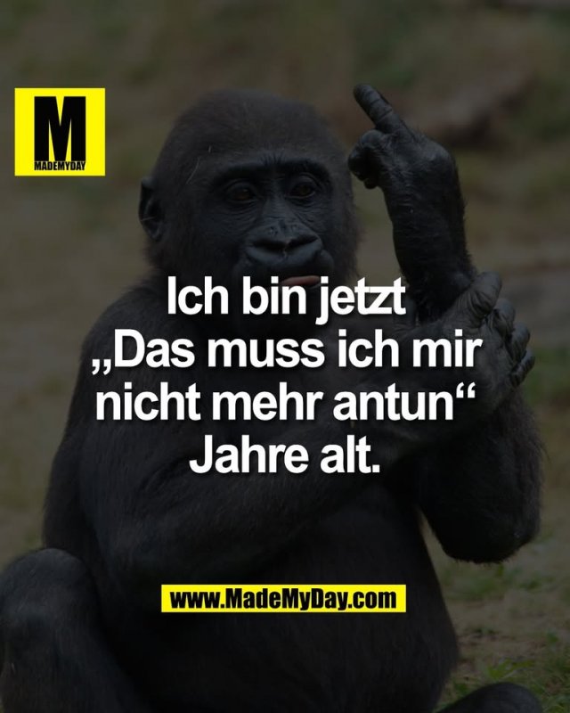 Ich bin jetzt<br />
„Das muss ich mir<br />
nicht mehr antun“<br />
Jahre alt.