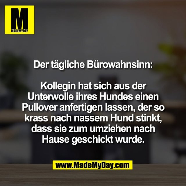 Der tägliche Bürowahnsinn:<br />
<br />
Kollegin hat sich aus der<br />
Unterwolle ihres Hundes einen<br />
Pullover anfertigen lassen, der so<br />
krass nach nassem Hund stinkt,<br />
dass sie zum umziehen nach<br />
Hause geschickt wurde.