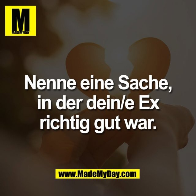 Nenne eine Sache,<br />
in der dein/e Ex<br />
richtig gut war.