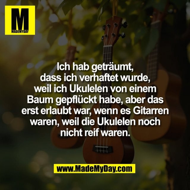 Ich hab geträumt,<br />
dass ich verhaftet wurde,<br />
weil ich Ukulelen von einem<br />
Baum gepflückt habe, aber das<br />
erst erlaubt war, wenn es Gitarren<br />
waren, weil die Ukulelen noch<br />
nicht reif waren.