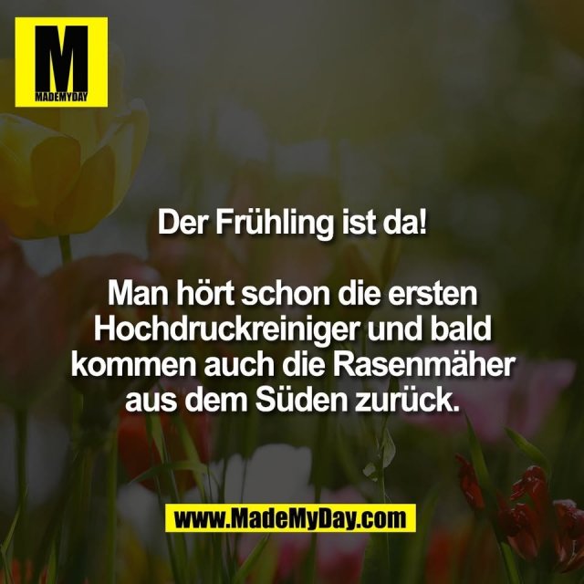 Der Frühling ist da!<br />
<br />
Man hört schon die ersten<br />
Hochdruckreiniger und bald<br />
kommen auch die Rasenmäher<br />
aus dem Süden zurück.