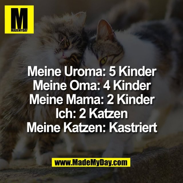 Meine Uroma: 5 Kinder<br />
Meine Oma: 4 Kinder<br />
Meine Mama: 2 Kinder<br />
Ich: 2 Katzen<br />
Meine Katzen: Kastriert