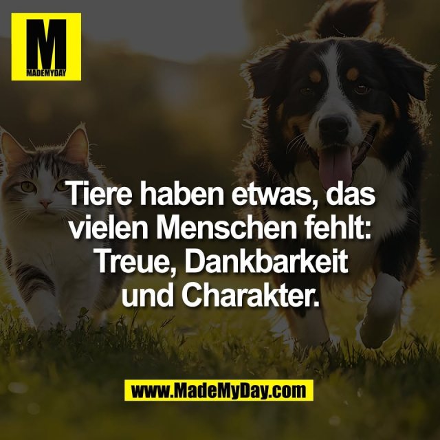 Tiere haben etwas, das<br />
vielen Menschen fehlt:<br />
Treue, Dankbarkeit<br />
und Charakter.