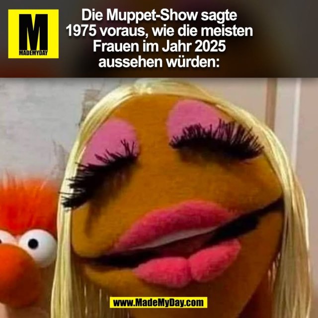 Die Muppet-Show sagte<br />
1975 voraus, wie die meisten<br />
Frauen im Jahr 2025<br />
aussehen würden:<br />
(BILD)