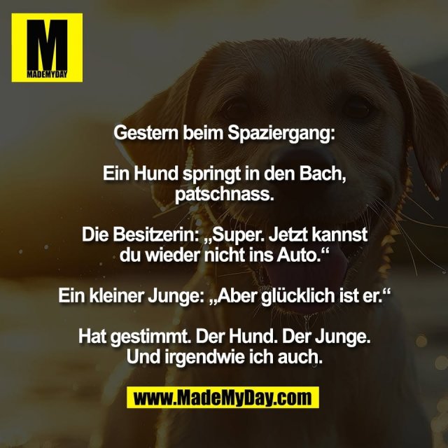 Gestern beim Spaziergang:<br />
<br />
Ein Hund springt in den Bach,<br />
patschnass.<br />
<br />
Die Besitzerin: „Super. Jetzt kannst<br />
du wieder nicht ins Auto.“<br />
<br />
Ein kleiner Junge: „Aber glücklich ist er.“<br />
<br />
Hat gestimmt. Der Hund. Der Junge.<br />
Und irgendwie ich auch.