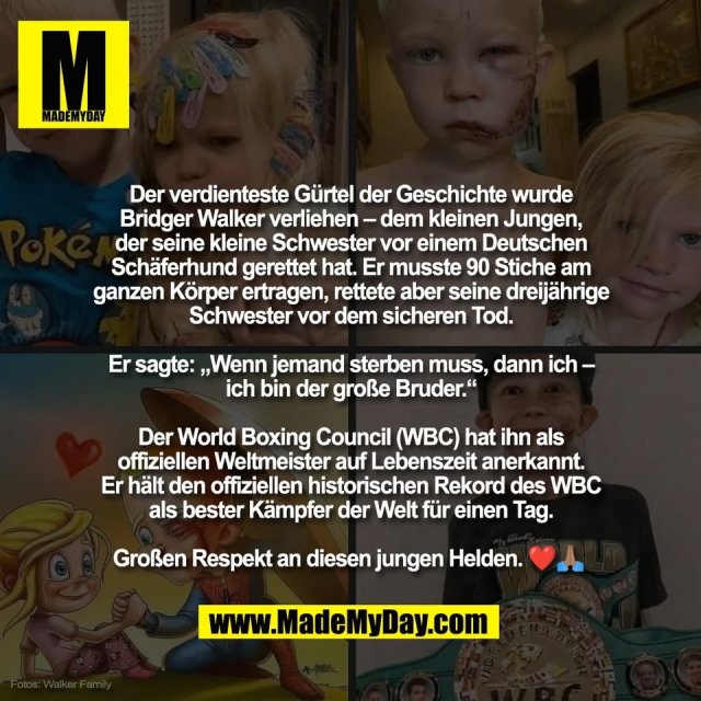Der verdienteste Gürtel der Geschichte wurde<br />
Bridger Walker verliehen – dem kleinen Jungen,<br />
der seine kleine Schwester vor einem Deutschen<br />
Schäferhund gerettet hat. Er musste 90 Stiche am<br />
ganzen Körper ertragen, rettete aber seine dreijährige<br />
Schwester vor dem sicheren Tod.<br />
<br />
Er sagte: „Wenn jemand sterben muss, dann ich –<br />
ich bin der große Bruder.“<br />
<br />
Der World Boxing Council (WBC) hat ihn als<br />
offiziellen Weltmeister auf Lebenszeit anerkannt.<br />
Er hält den offiziellen historischen Rekord des WBC<br />
als bester Kämpfer der Welt für einen Tag.<br />
<br />
Großen Respekt an diesen jungen Helden. ❤️🙏🏽 