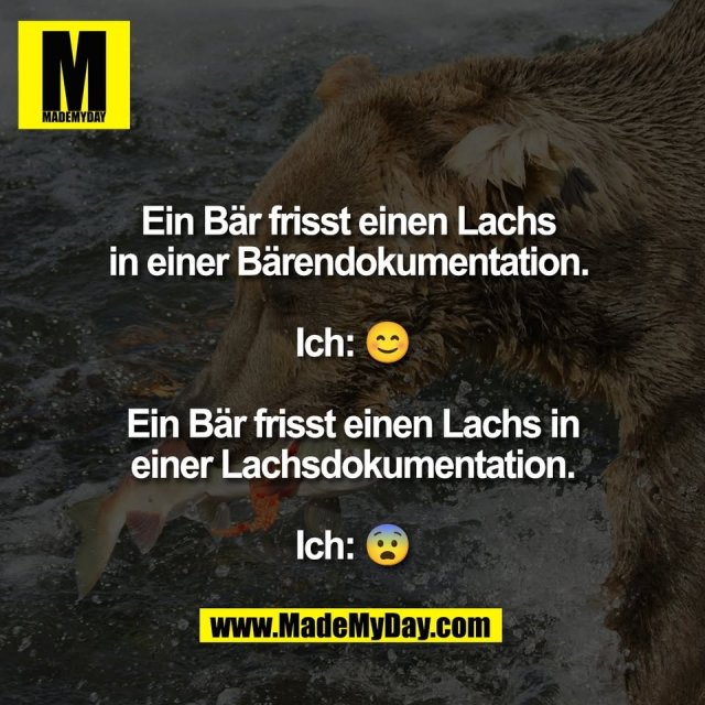 Ein Bär frisst einen Lachs <br />
in einer Bärendokumentation. <br />
<br />
Ich: 😊<br />
<br />
Ein Bär frisst einen Lachs in<br />
einer Lachsdokumentation.<br />
<br />
Ich: 😨