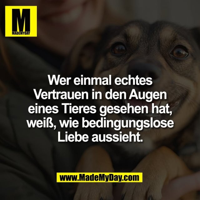 Wer einmal echtes<br />
Vertrauen in den Augen<br />
eines Tieres gesehen hat,<br />
weiß, wie bedingungslose<br />
Liebe aussieht.