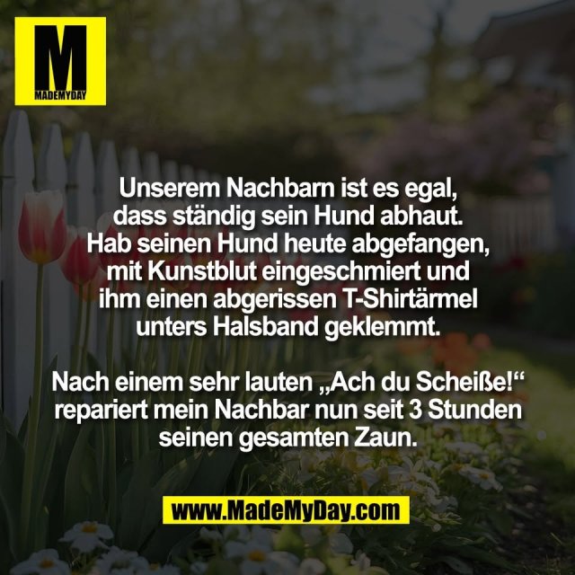 Unserem Nachbarn ist es egal,<br />
dass ständig sein Hund abhaut.<br />
Hab seinen Hund heute abgefangen,<br />
mit Kunstblut eingeschmiert und<br />
ihm einen abgerissen T-Shirtärmel<br />
unters Halsband geklemmt.<br />
<br />
Nach einem sehr lauten „Ach du Scheiße!“<br />
repariert mein Nachbar nun seit 3 Stunden<br />
seinen gesamten Zaun.