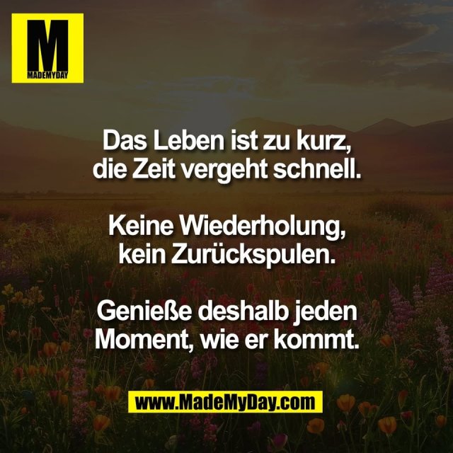 Das Leben ist zu kurz,<br />
die Zeit vergeht schnell.<br />
<br />
Keine Wiederholung,<br />
kein Zurückspulen.<br />
<br />
Genieße deshalb jeden<br />
Moment, wie er kommt.