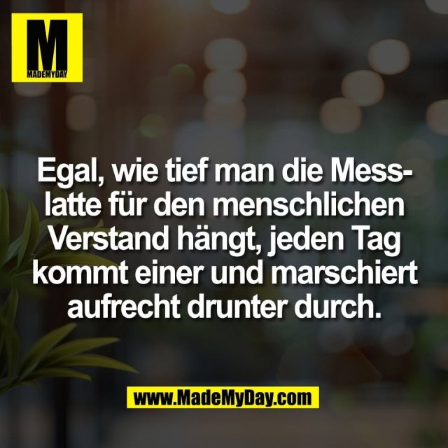 Egal, wie tief man die Mess-<br />
latte für den menschlichen<br />
Verstand hängt, jeden Tag<br />
kommt einer und marschiert<br />
aufrecht drunter durch.