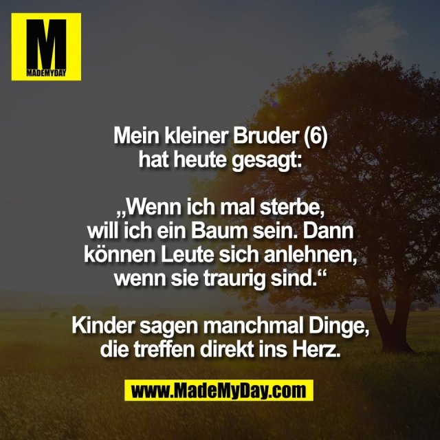 Mein kleiner Bruder (6)<br />
hat heute gesagt:<br />
<br />
„Wenn ich mal sterbe,<br />
will ich ein Baum sein. Dann<br />
können Leute sich anlehnen,<br />
wenn sie traurig sind.“<br />
<br />
Kinder sagen manchmal Dinge,<br />
die treffen direkt ins Herz.