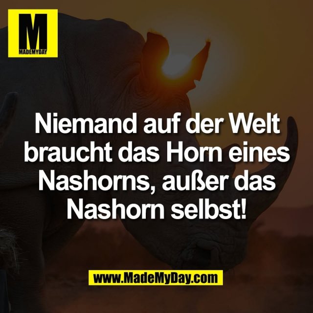 Niemand auf der Welt<br />
braucht das Horn eines<br />
Nashorns, außer das<br />
Nashorn selbst!