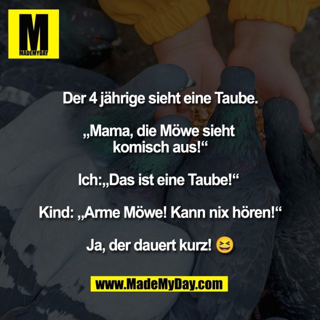 Der 4 jährige sieht eine Taube.<br />
<br />
„Mama, die Möwe sieht <br />
komisch aus!“<br />
<br />
Ich:„Das ist eine Taube!“ <br />
<br />
Kind: „Arme Möwe! Kann nix hören!“<br />
<br />
Ja, der dauert kurz! 😆