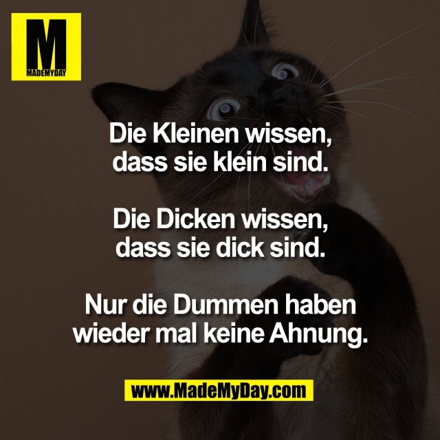 Die Kleinen wissen,<br />
dass sie klein sind.<br />
<br />
Die Dicken wissen,<br />
dass sie dick sind.<br />
<br />
Nur die Dummen haben<br />
wieder mal keine Ahnung.