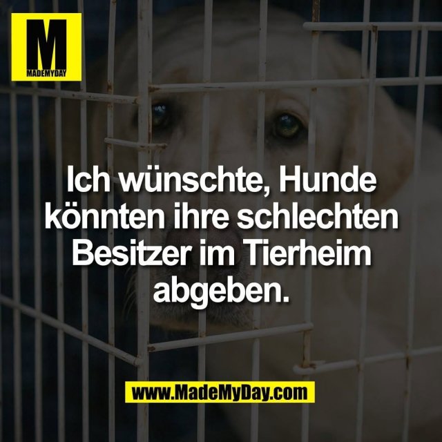 Ich wünschte, Hunde<br />
könnten ihre schlechten<br />
Besitzer im Tierheim<br />
abgeben.