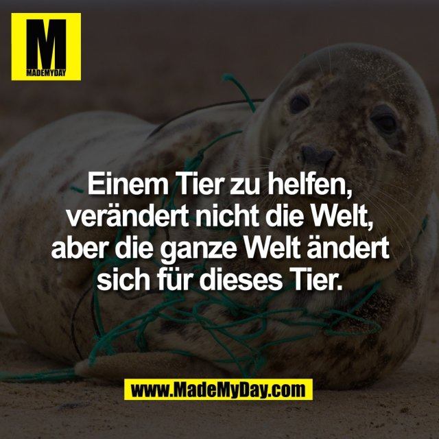 Einem Tier zu helfen,<br />
verändert nicht die Welt,<br />
aber die ganze Welt ändert<br />
sich für dieses Tier.