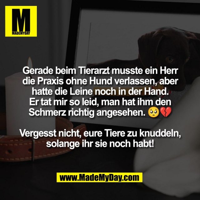 Gerade beim Tierarzt musste ein Herr<br />
die Praxis ohne Hund verlassen, aber<br />
hatte die Leine noch in der Hand.<br />
Er tat mir so leid, man hat ihm den<br />
Schmerz richtig angesehen. 🥺💔<br />
<br />
Vergesst nicht, eure Tiere zu knuddeln,<br />
solange ihr sie noch habt!