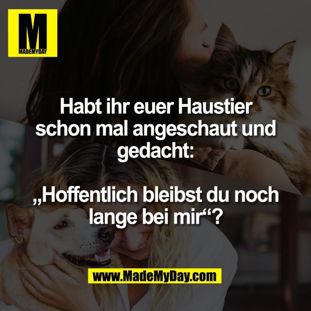 Habt ihr euer Haustier<br />
schon mal angeschaut und<br />
gedacht:<br />
<br />
„Hoffentlich bleibst du noch<br />
lange bei mir“?