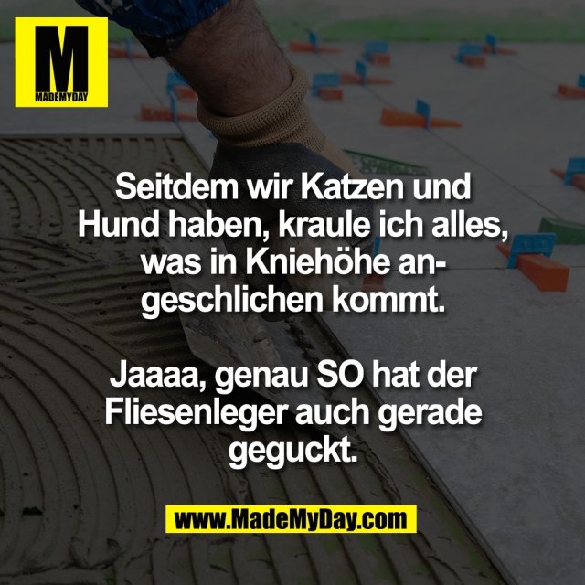 Seitdem wir Katzen und<br />
Hund haben, kraule ich alles,<br />
was in Kniehöhe an-<br />
geschlichen kommt.<br />
<br />
Jaaaa, genau SO hat der<br />
Fliesenleger auch gerade<br />
geguckt.