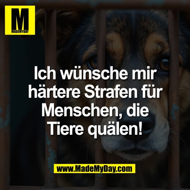 Ich wünsche mir<br />
härtere Strafen für<br />
Menschen, die<br />
Tiere quälen!