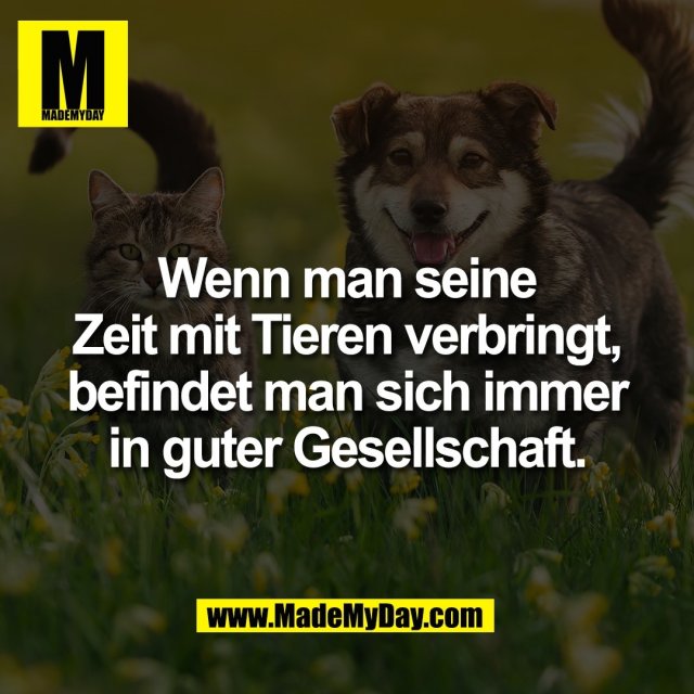 Wenn man seine<br />
Zeit mit Tieren verbringt,<br />
befindet man sich immer<br />
in guter Gesellschaft.