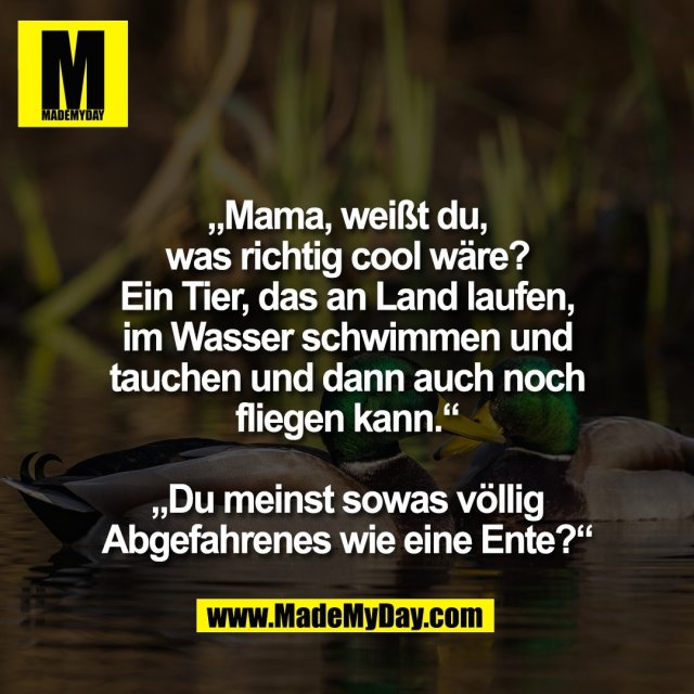 „Mama, weißt du,<br />
was richtig cool wäre?<br />
Ein Tier, das an Land laufen,<br />
im Wasser schwimmen und<br />
tauchen und dann auch noch<br />
fliegen kann.“<br />
<br />
„Du meinst sowas völlig<br />
Abgefahrenes wie eine Ente?“