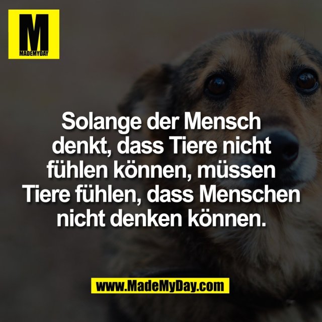 Solange der Mensch<br />
denkt, dass Tiere nicht<br />
fühlen können, müssen<br />
Tiere fühlen, dass Menschen<br />
nicht denken können.