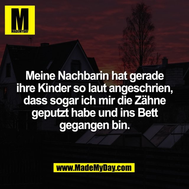 Meine Nachbarin hat gerade<br />
ihre Kinder so laut angeschrien,<br />
dass sogar ich mir die Zähne<br />
geputzt habe und ins Bett<br />
gegangen bin.